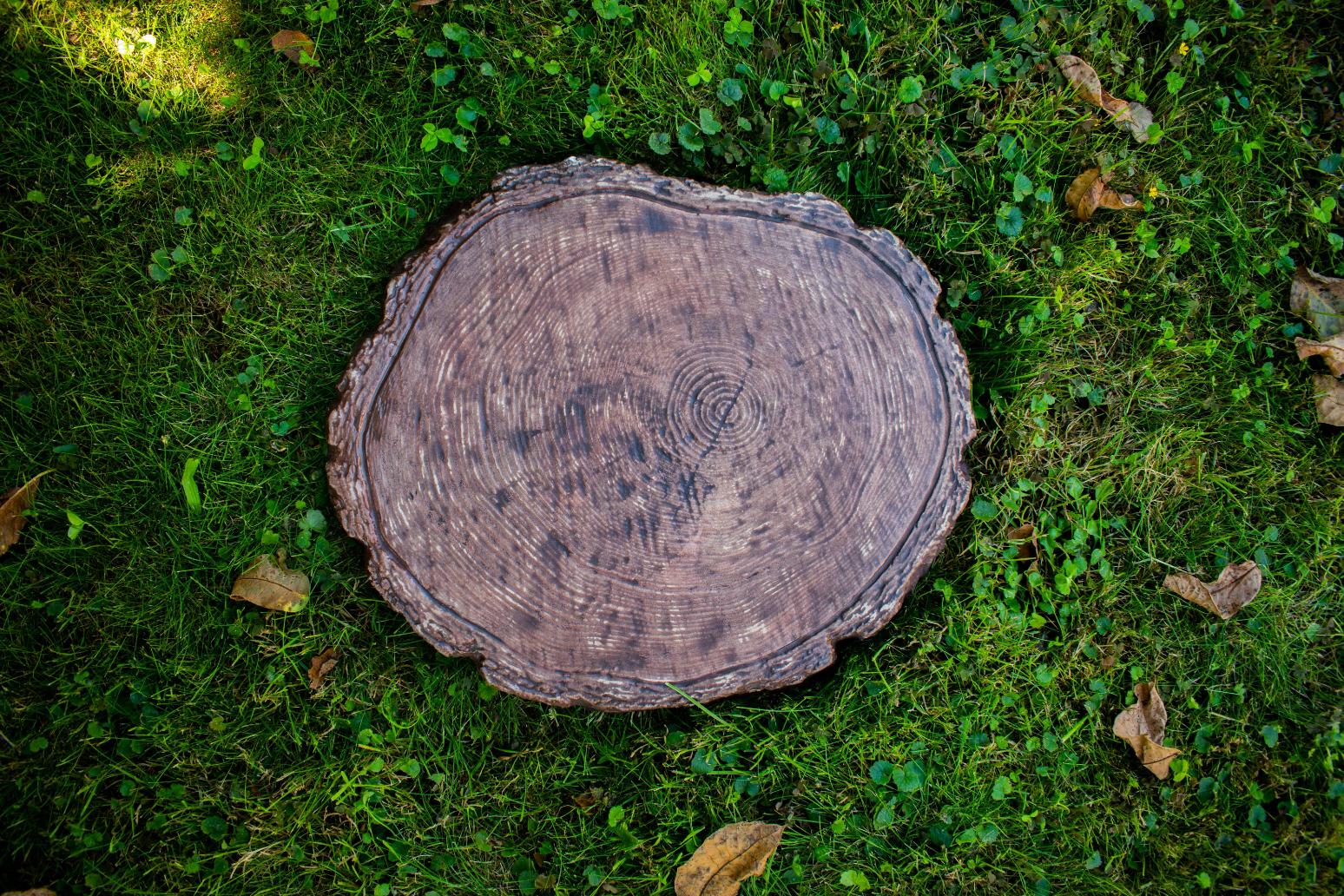 PerfectStone Akácia fahatású beton tipegő – prémium kerti lépőkő