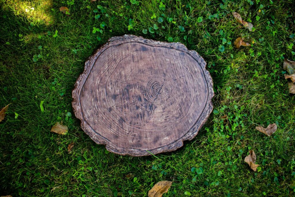 PerfectStone Acacia Lepőkő/Tipegő