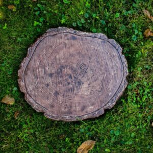 PerfectStone Acacia Lepőkő/Tipegő