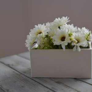 Perspektivikus közeli kép a Linea fantázianevű beltéri gipsz kaspóról. A matt fehér textúra és a szabályos mélyedések modern, skandináv stílust kölcsönöznek a terméknek, amely egy kopottas fa háttér előtt helyezkedik el.